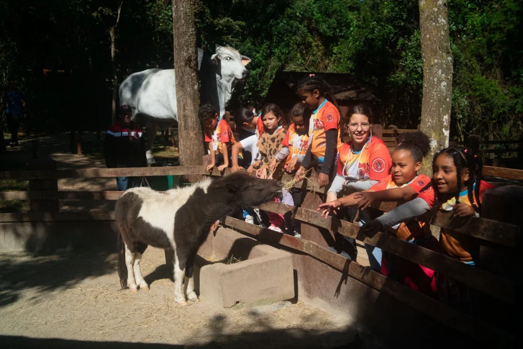 Benefícios img 20230801 wa0005