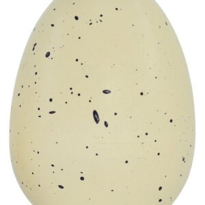 d nq np 636501 mlb83326668456 042025 f.jpg