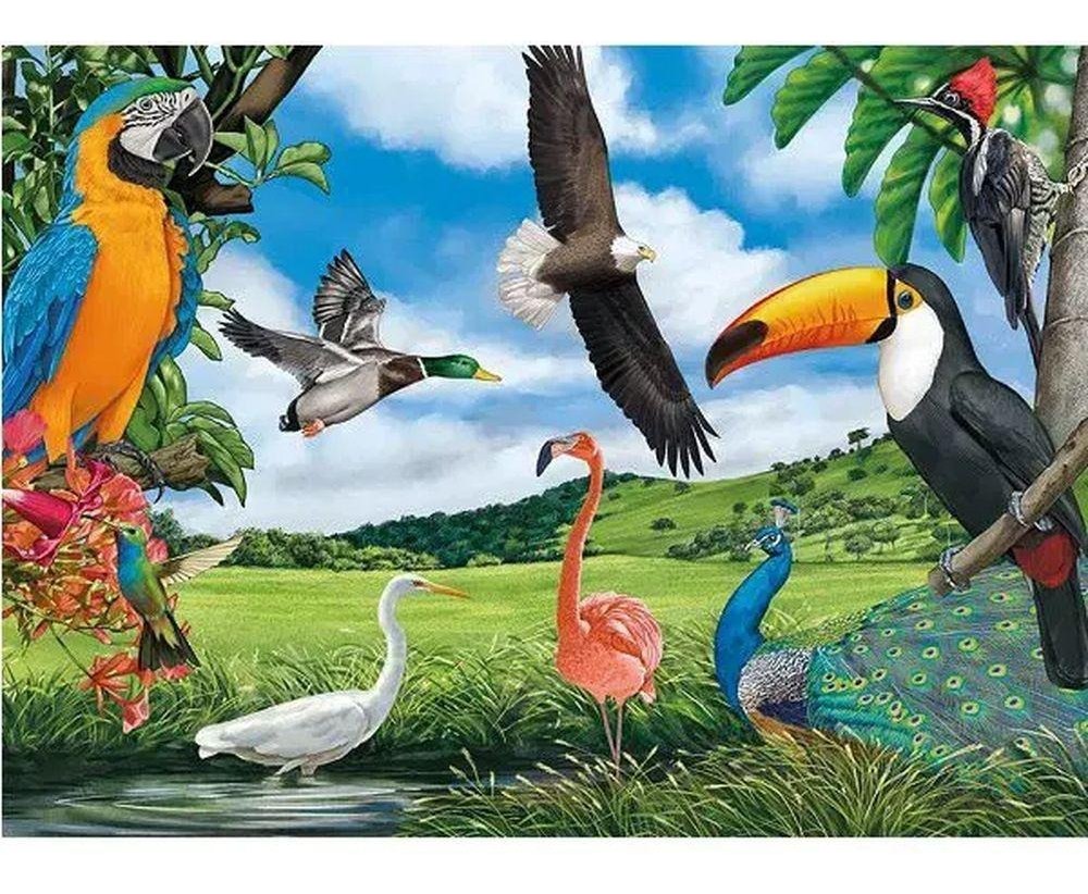quebra cabeças aves 100 peças quebra cabeças aves 100 peças