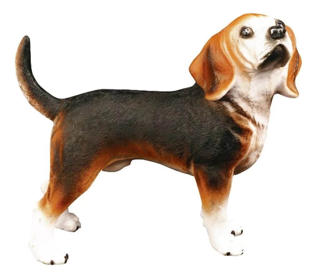 d nq np 905837 mlb83615876203 042025 f.jpg d nq np 905837 mlb83615876203 042025 f.jpg